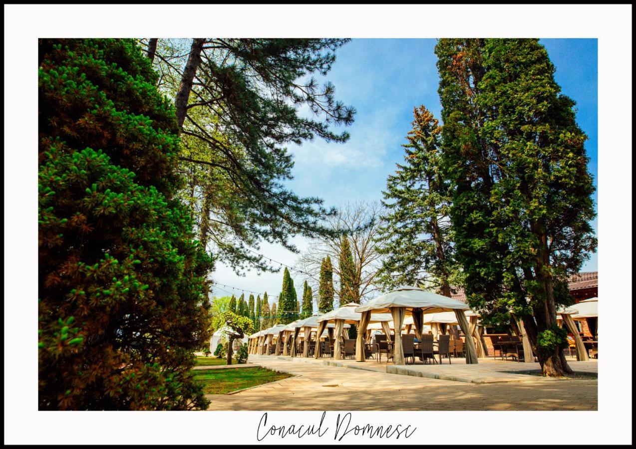 Conacul Domnesc 호텔 Scheia 외부 사진