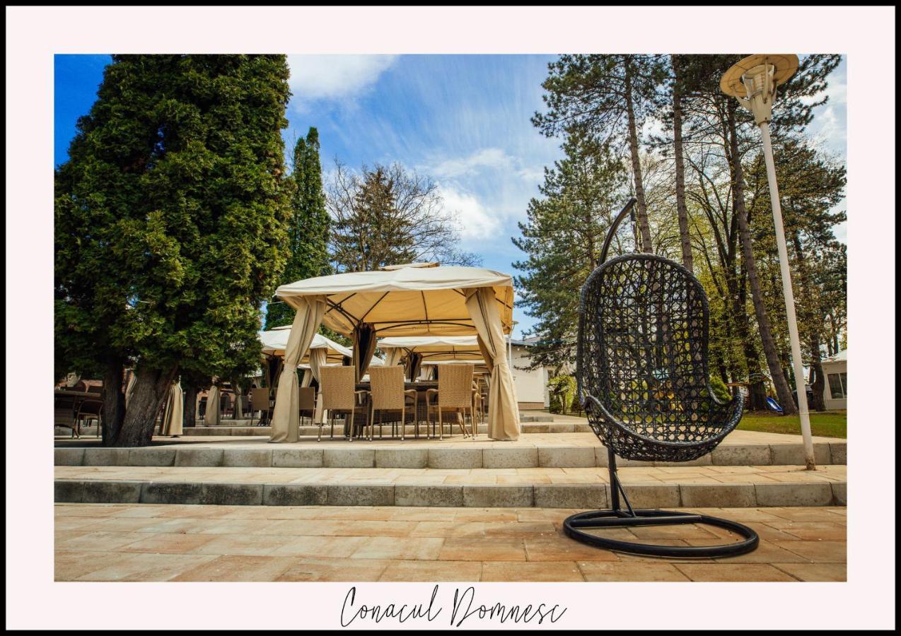 Conacul Domnesc 호텔 Scheia 외부 사진